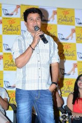 Ladies and Gentlemen Movie Success Meet